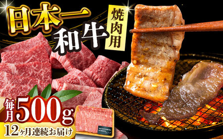 【全12回定期便】【A4～A5】長崎和牛焼肉用　500g【株式会社 MEAT PLUS】[DBS036]