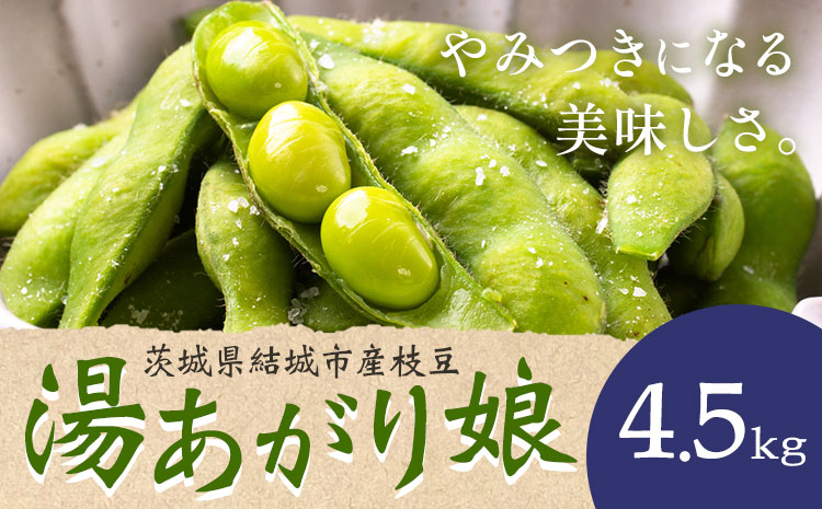 茨城県結城市産枝豆「湯あがり娘」4.5kg（茶豆味）有限会社大嶋農園 《7月中旬-8月上旬頃出荷》 野菜 国産 甘み 香り 濃厚 つまみ ビールのおつまみ ビールのつまみ【配送不可地域あり】---yuki_osm_6_4500g---