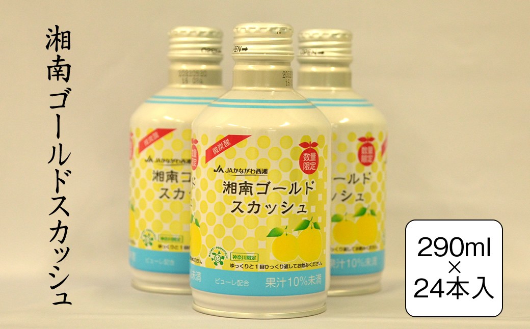 
            湘南ゴールドスカッシュ　290ml×24本入り【 神奈川県 山北町 】
          
