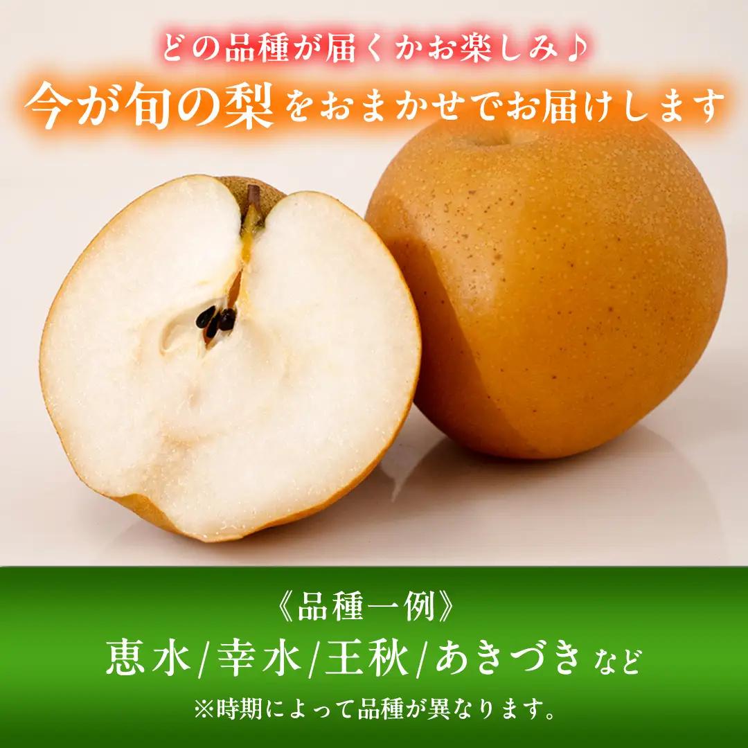 【先行予約】 梨 品種 おまかせ 約3kg（ 4～6個 ）2026年9月上旬 順次発送 農家直送（BB008）