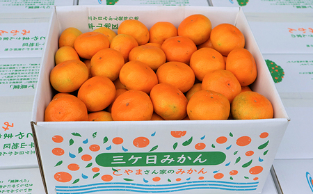 【2025年10月下旬より順次発送】三ヶ日みかん（極早生3kg）光センサー選果 果物類 柑橘類 フルーツ 安全 おいしい 高糖度 濃厚 甘い 