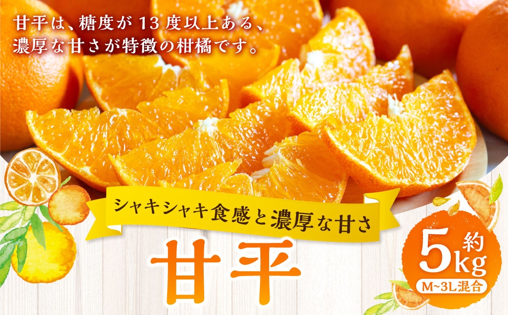 
                  【 シャキシャキ食感と濃厚な甘さ 】 甘平 約5kg みかん ミカン くだもの 果物 フルーツ 柑橘 柑橘系 柑橘類 果実 果汁 果肉 国産 愛媛県産 旬 【 2027年1月下旬～3月上旬発送予定 】 ( 1079 )
                