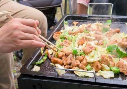 めいほう鶏ちゃんいろとりどり