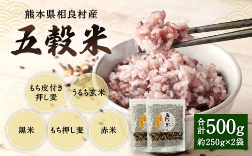 熊本県 相良村産 ヘルシー 五穀米 250g×2  計500g 国産 雑穀米 五穀米 黒米 押し麦 うるち玄米 赤米 ブレンド 米 お米
