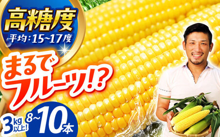 ＜2026年6月中旬以降発送＞スイートコーン・ゴールドラッシュ 8本～10本[HAO001]とうもろこし スイートコーン とうもろこし 
