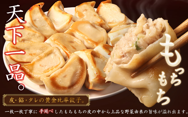 【定期便：6回】【なかしべつミルキーポーク100％使用】 樹苞 お城餃子36個（約9人前） | お城餃子 きぼう 餃子 ぎょうざ ギョーザ 本格 中華 点心 飲茶 ミルキーポーク 簡単調理 絶品 グル