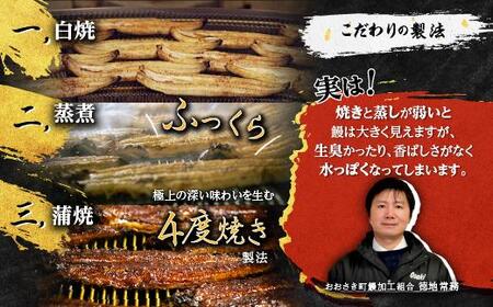 【数量限定】鹿児島県産うなぎ長蒲焼6尾（約100g×6尾）【鰻 国産うなぎ蒲焼き たれ うな重 ひつまぶし ウナギ 蒲焼 人気 おすすめ 鹿児島県 大崎町 A920】