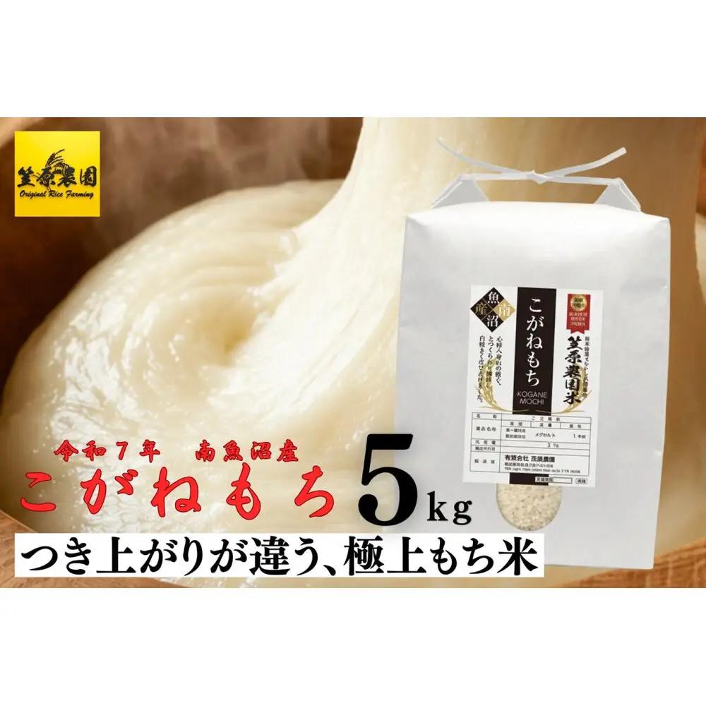 【令和7年】南魚沼産 笠原農園米 こがねもち（もち米） 5kg   | もち米