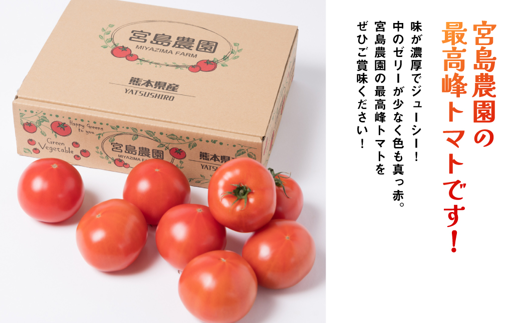【先行予約】最高峰 トマト 極 800g 八代市産 宮島農園 甘い 野菜 やさい 【2026年1月上旬より順次発送】
