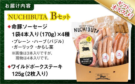 ステーキ ソーセージ 『NUCHIBUTA Bセット』 豚肉 ポークステーキ ソーセージ 詰め合わせ  BCAR004 豚肉