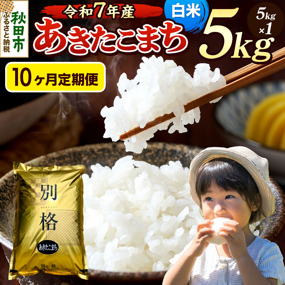 《令和7年産》《定期便10ヶ月》 米 あきたこまち 5kg 【白米】 秋田県産