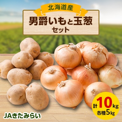 JAきたみらい「男爵いも×5kg」と「玉葱×5kg」セット【配送不可地域：離島・沖縄県】