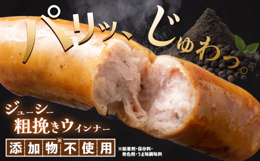 【定期便：6回】北海道産放牧豚 無添加粗挽きウインナー ×20パック