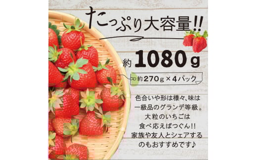 【先行予約】【全2回定期便】あまおう いちご 1,080g (約270g×4パック 【2026年1月中旬以降順次発送】 糸島市 / 株式会社HSP-テクノ グランデ 等級 福岡県産 [AZL005]