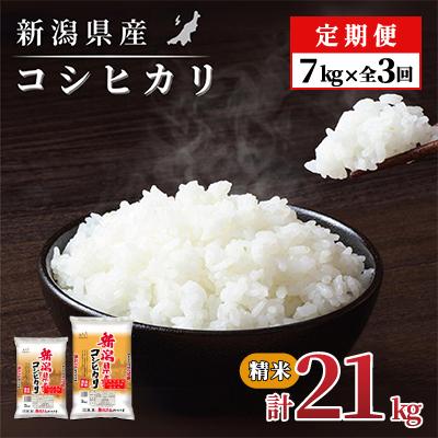 ふるさと納税 見附市 【毎月定期便】新潟県産 コシヒカリ(精米) 7kg【計21kg】全3回