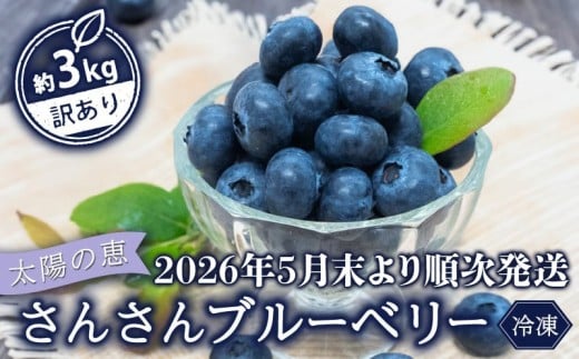 【早期予約開始!!2026年5月末より順次発送】【訳あり】 ブルーベリー 500g x 6 パック 合計 3kg 冷凍 健康 食品 果物 フルーツ ベリー そのまま おやつ 朝食 加工 お菓子 製菓 シャーベット ジャム ソース スムージー いちかわファーム 高知県 須崎市 IF010