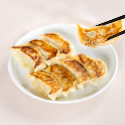 ふるさと納税 太田市 爆じゅう餃子 45個入り |  | 02