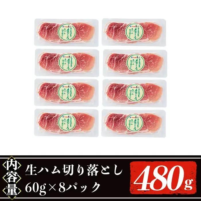 【ふるなび限定】＜2026年9月中に発送予定＞国産 豚 生ハム 切り落とし 60g×8P(計480g) おつまみ 小分け 【ナンチク】A1106-09 FN-Limited-VO