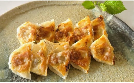 
牛肉商「徳志満」 近江牛 ひとくち 餃子 160個（20個×8箱）
