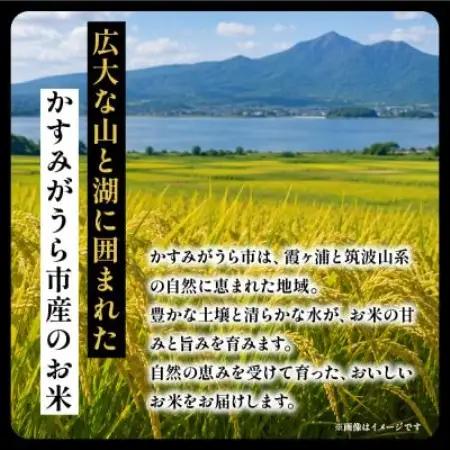 【毎月定期便】茨城県産 コシヒカリ 精米 10kg | こしひかり 茨城県かすみがうら市全3回【4094324】