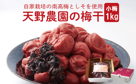 【 梅干し 】 小梅 1kg 南高梅