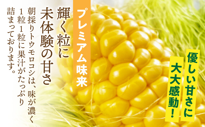 【人気の2品種を食べ比べ】とうもろこし2種各3本×3セット・H112