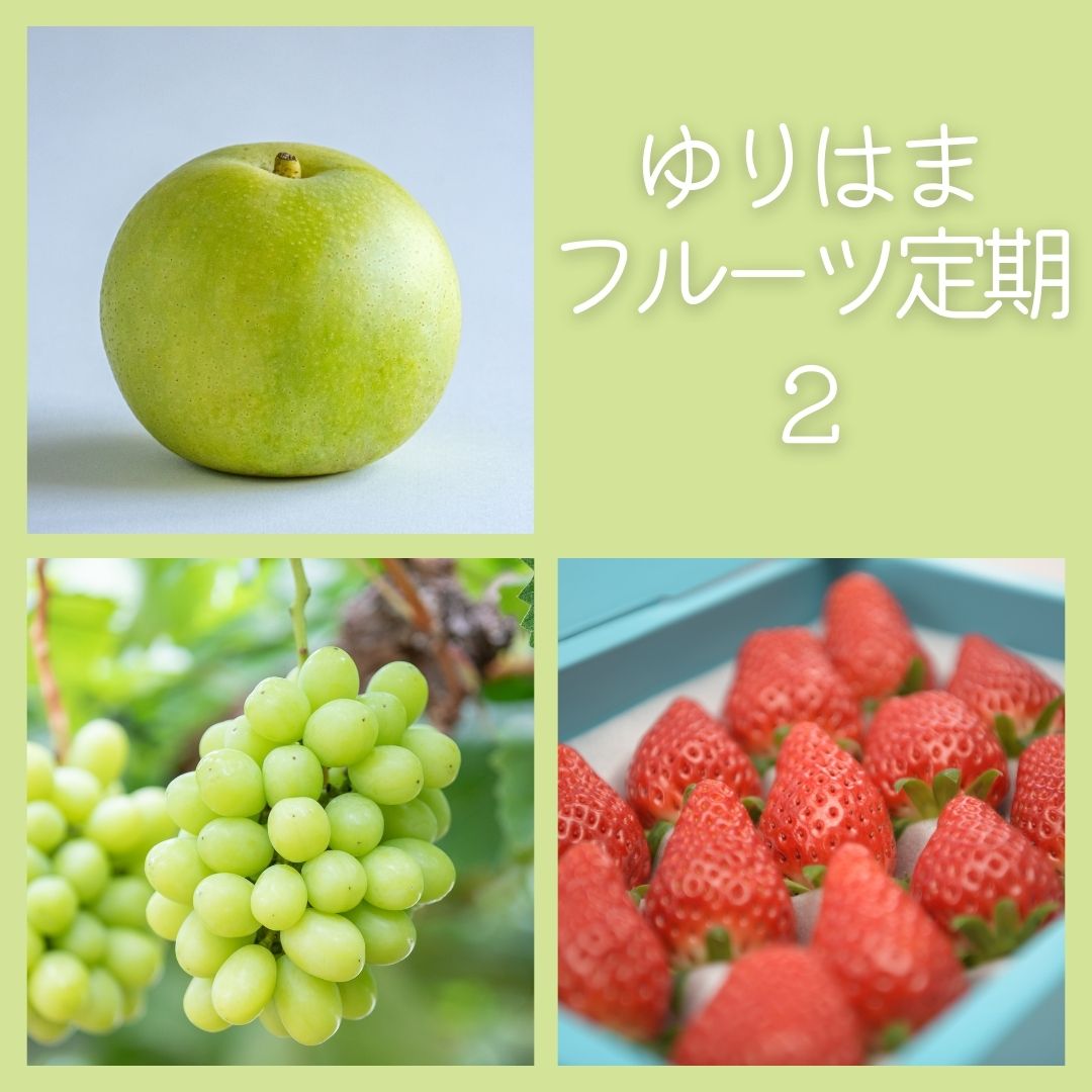 【ふるさと納税】フルーツ 定期便 3種 果物 鳥取県産 ゆりはま 2 | 36M