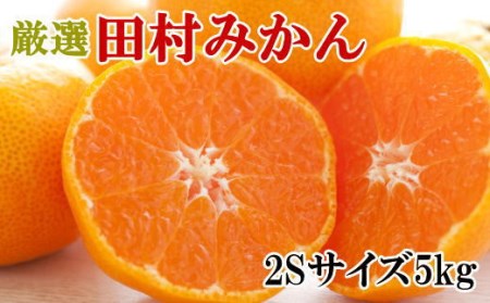 【ブランドみかん】田村みかん約5kg（2Sサイズ・秀品） ※2025年11月下旬～12月下旬頃に順次発送予定