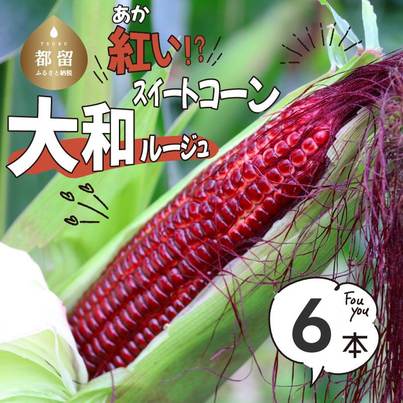 【ふるさと納税】【2026年先行予約】山梨県都留市産 紅い スイートコーン 大和ルージュ｜希少な赤いとうもろこし 甘い スイートコーン トウモロコシ 産地直送 送料無料【浅田農園】 とうもろこし