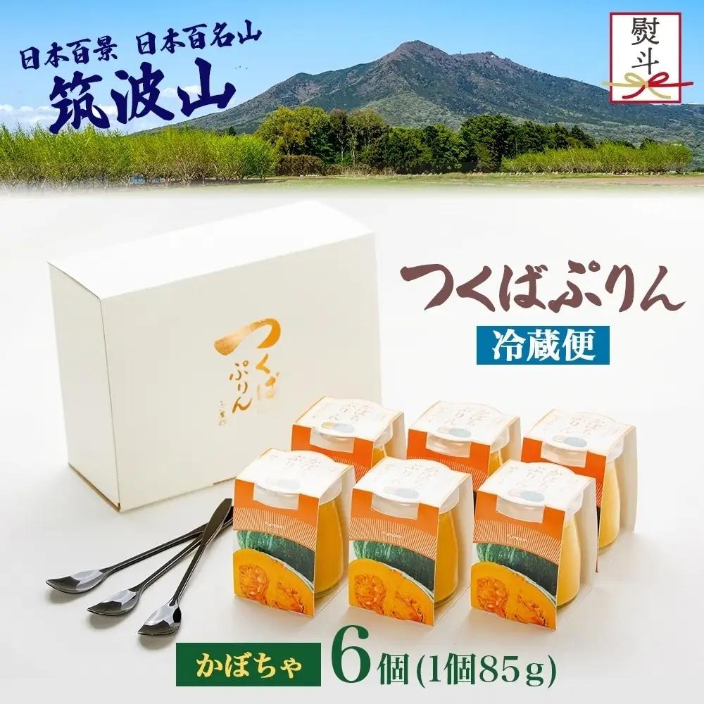 無地熨斗 つくばぷりん かぼちゃぷりん 6個 プリン ぷりん かぼちゃ カボチャ 南瓜 牛乳 ミルク 卵 とろける スイーツ 贅沢 洋菓子 おやつ 冷菓 ご褒美 デザート 人気 グルメ お取り寄せ ギ