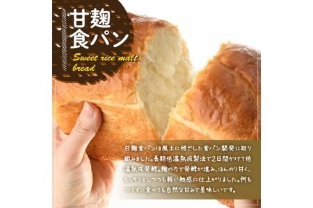 甘麹食パンとバターリュスティックのセット(3本＋12個) パン 食事パン 高加水 低温熟成発酵 詰め合わせ 手作り こうじ 冷凍 ＜離島配送不可＞【ksg0081】【そうりの食卓】