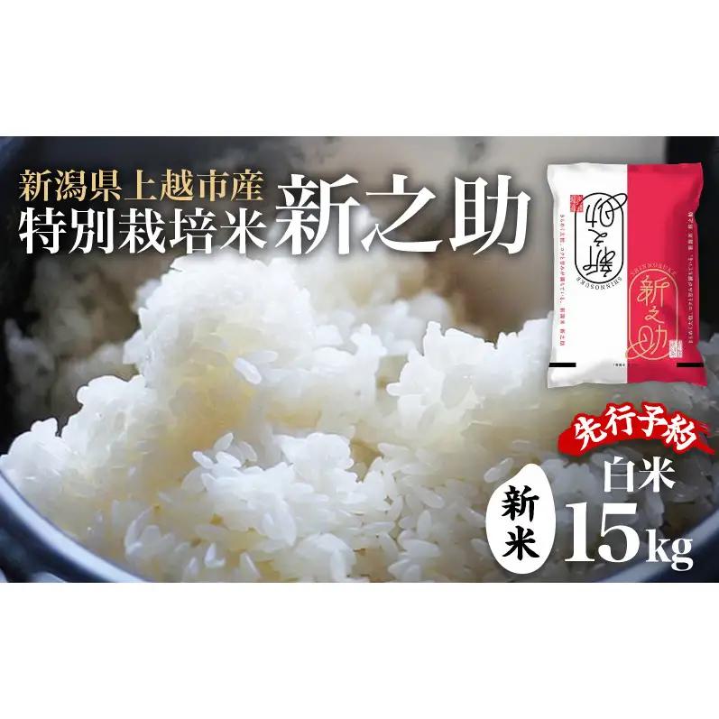 先行予約 令和8年 新米 新潟県上越市産 特別栽培米 新之助 15kg （5kg×3袋）お米 コメ  ふぁーむ大地