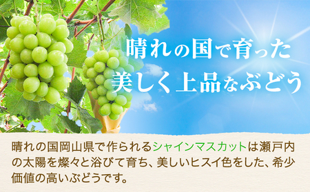 【2026年先行予約】ぶどう シャインマスカット 1房 たけまさぶどう園 《2026年9月上旬-10月中旬頃出荷》岡山県 浅口市 フルーツ デザート おやつ マスカット 果物 国産 岡山県産 くだもの