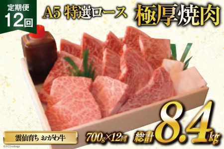 定期便 12回 牛肉 雲仙育ち おがわ牛 A5 特選 ロース 極厚焼肉 総計8.4kg(700g×12回) [焼肉おがわ 長崎県 雲仙市 item2121] 黒毛和牛 冷凍