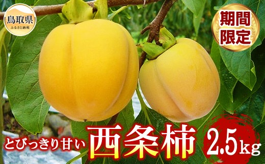 柿(西条柿)【期間限定】_T2600264