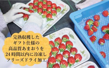 形も味もそのまま楽しめる！完熟あまおう【フリーズドライギフトセット】 (20g×3袋)