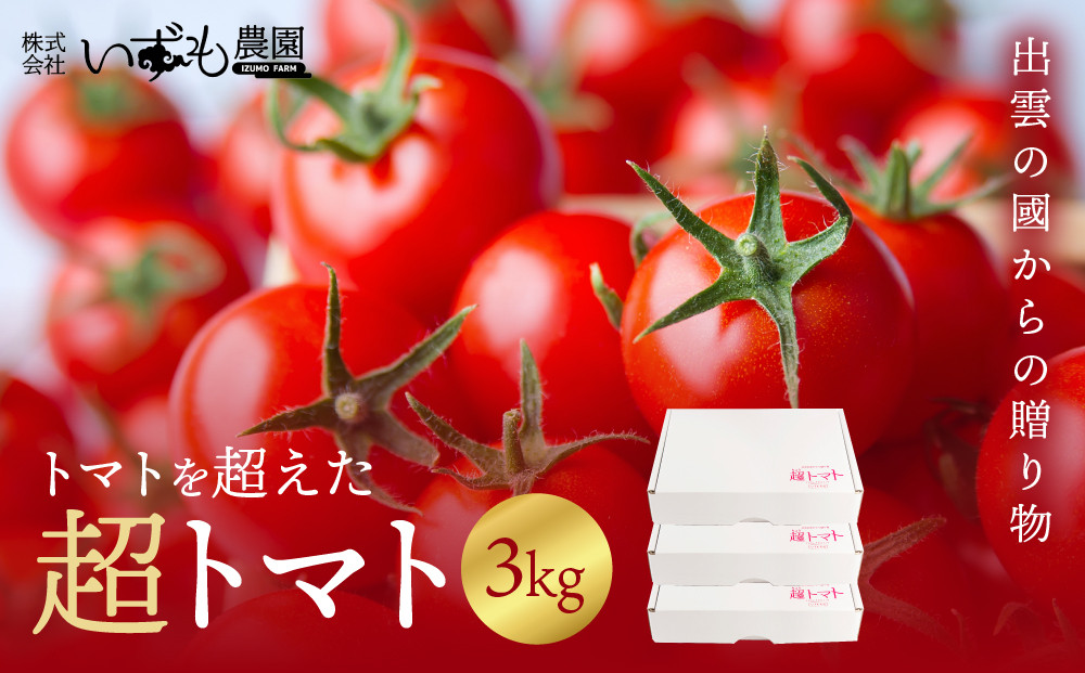出雲の國からの贈り物～トマトを超えた超トマト３kg 322032_AT003
