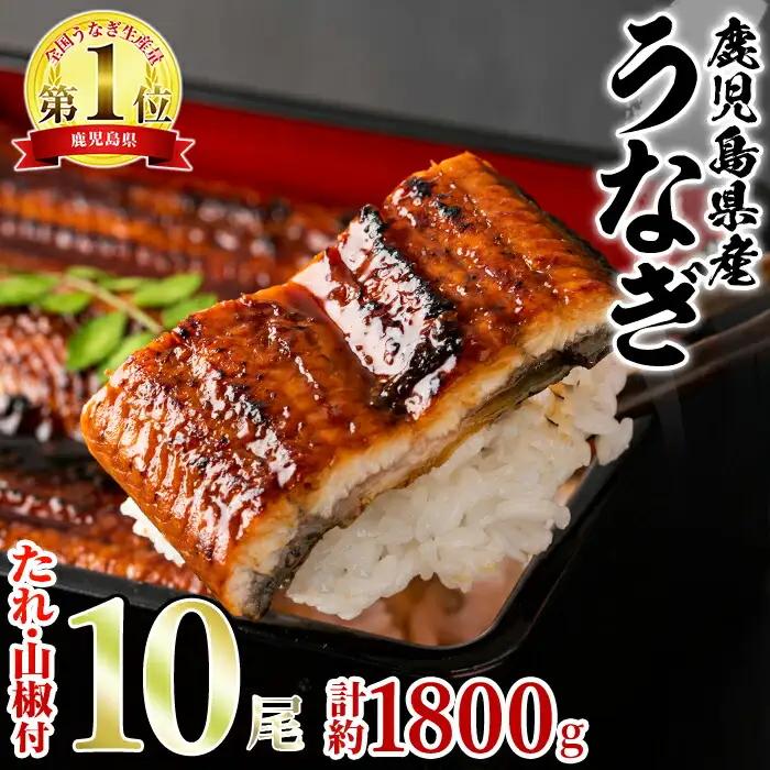 【ふるなびWEEK対象】東串良町 うなぎ 蒲焼 (無頭)(10尾・計約1,800g・タレ、山椒付) 高級 ウナギ 鰻 国産 たれ 鹿児島 ふるさと 人気【アクアおおすみ】【0624353a】