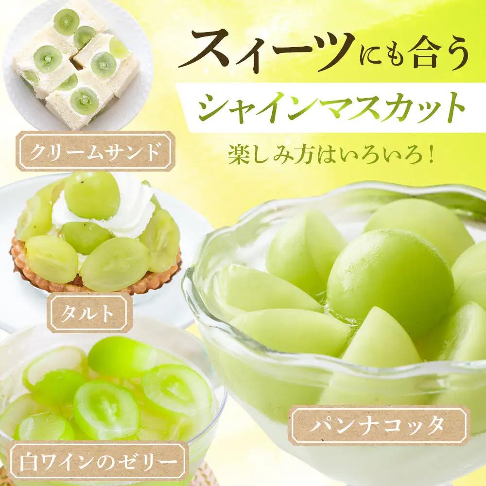 ＜2026年度＞【貝塚市産】ご家庭用シャインマスカット 約2kg（2～3房）ブドウ葡萄果物フルーツ果物