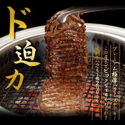 プレミアム極厚ハラミステーキ【熟成醤油だれ】1kg (K12-003)【配送不可地域：離島】【1405377】