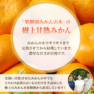 R-37「果樹園みかんの木」のお楽しみ５回定期便コース　みかん ミカン 蜜柑 温州みかん 完熟みかん 甘熟 柑橘 しらぬひ でこぽん デコポン みかんジュース ストレートジュース 100％ジュース 有