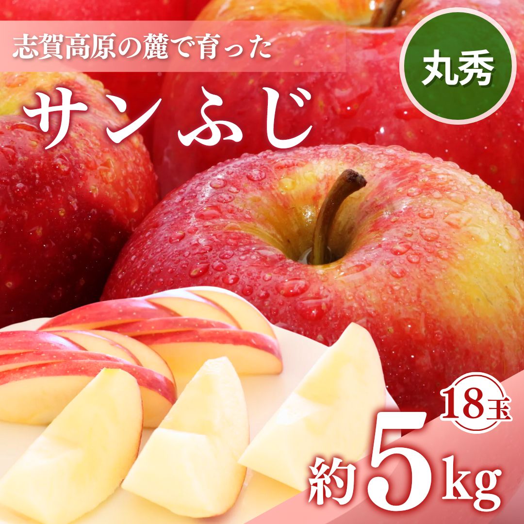 【ふるさと納税】志賀高原の麓で育った サンふじ 丸秀18玉 約5kg 【 りんご 5kg フルーツ 果物 デザート 長野県 長野 】　お届け：2026年12月1日～10日頃発送予定 ※日時指定不可