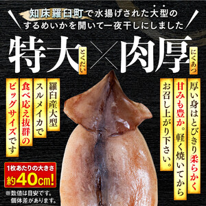 知床羅臼産するめいか一夜干し（1枚 250g 前後）8枚セット｜いか　北海道
