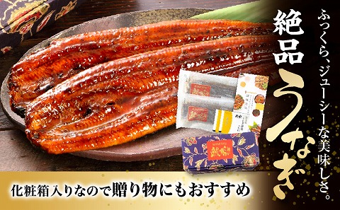 国産うなぎ蒲焼2尾(計320g以上) 鰻蒲焼 ウナギ蒲焼用たれ さんしょうのセット|うなぎ1尾160g以上の鰻2尾からなるウナギの詰め合わせ