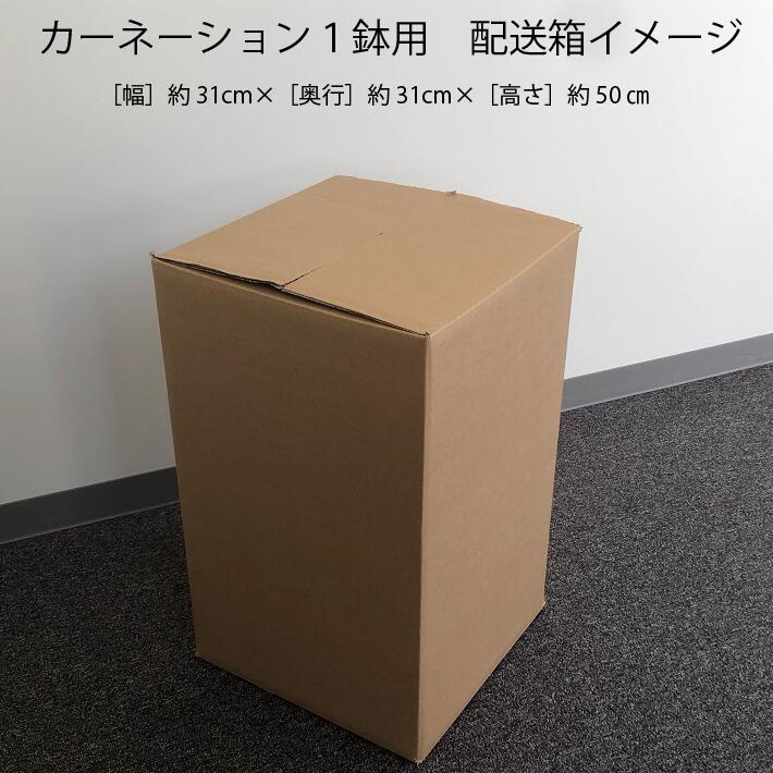 【5月初旬より順次発送】成澤さんのカーネーション 赤 5号鉢（入金期限：2026.4.30）母の日に プレゼント 赤
