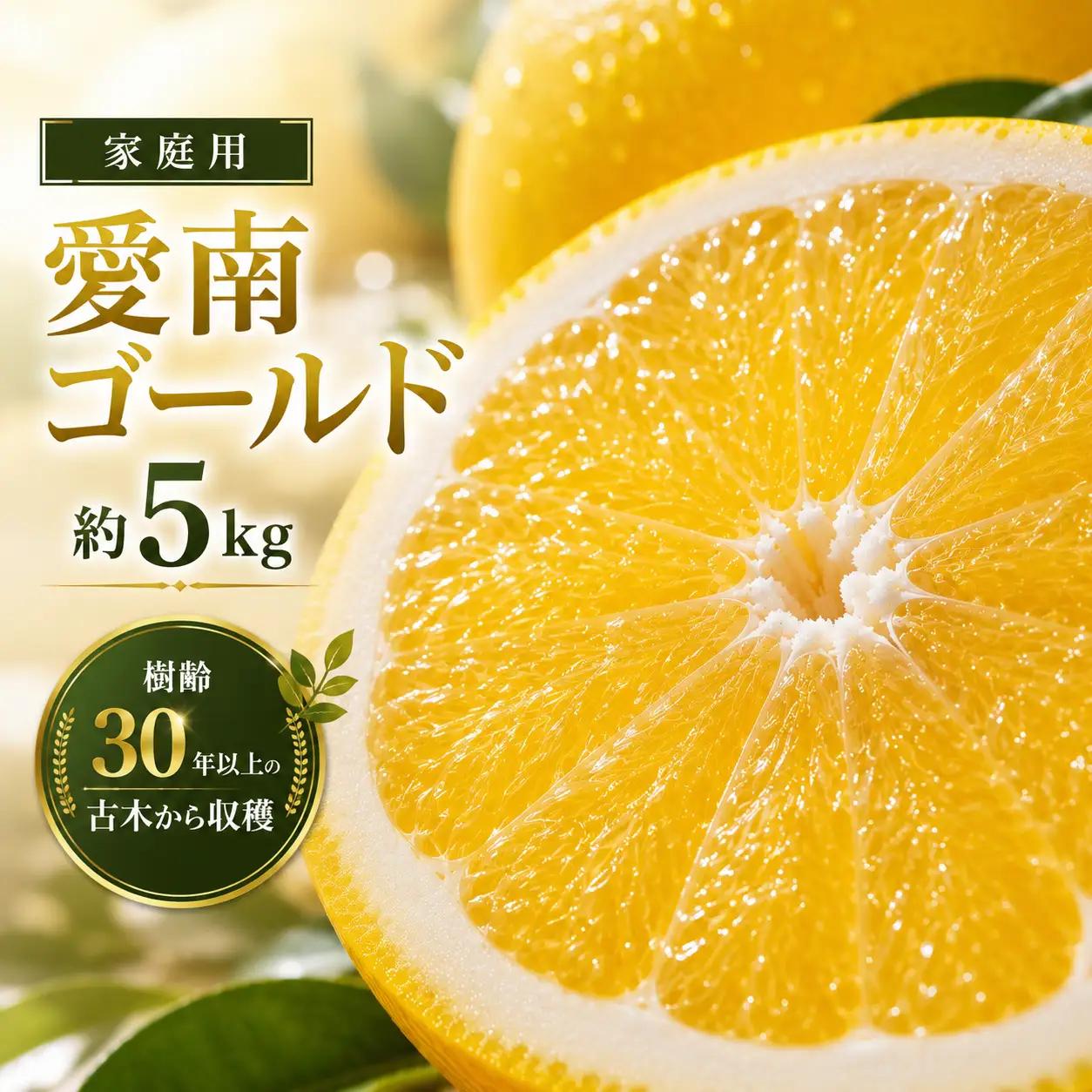 家庭用 愛南ゴールド（河内晩柑）約5kg みかん 蜜柑 河内晩柑 グレープフルーツ 柑橘 果物 フルーツ 前田ファーム 愛媛 愛南 【発送期間 3月下旬～5月上旬 】(なくなり次第終了)