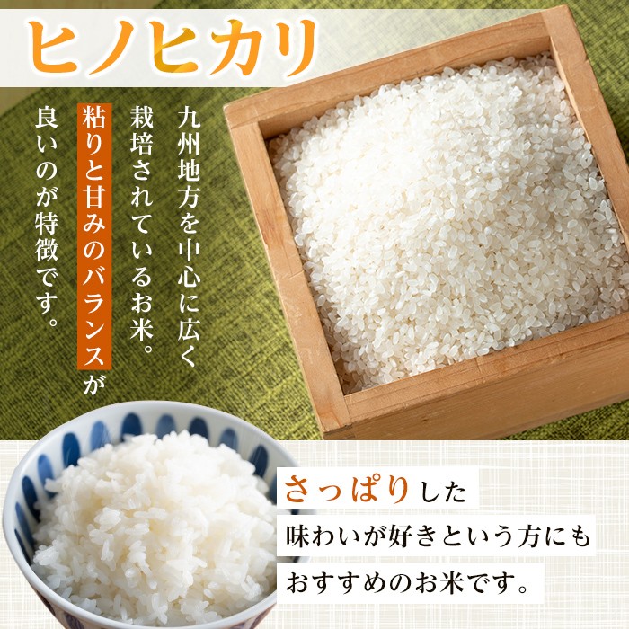 i1079-A-Xm 【クリスマスギフト】＜令和7年産 新米＞鹿児島県 出水市産 ヒノヒカリ (5kg) 米 5kg ひのひかりヒノヒカリ 鹿児島 5キロ お米 九州 九州産 甘み あっさり もちもち