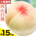 【ふるさと納税】 【令和7年度先行予約】ご家庭用 岡山白桃 約1.5kg ( 6玉 前後 ) 《2025年6月中旬-8月下旬頃出荷》なんば農園 岡山県 浅口市 フルーツ モモ 果物 青果 旬 白桃 桃 訳アリ わけあり 訳あり 【配送不可地域あり】