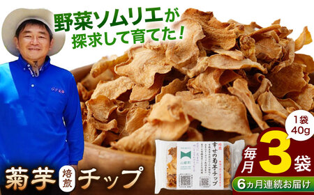 【全6回定期便】【数量限定】菊芋 焙煎 チップ 120g (40g×3パック)【グリーンファーム矢部】 [YDC009]