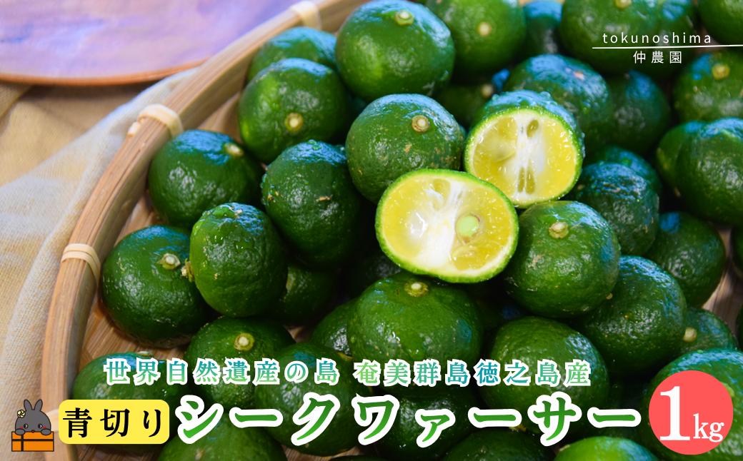 
                  2608《今が旬！》世界自然遺産の島の青切りシークワァーサー（1㎏）※冷蔵配送 ( 農家直送 シークワーサー シークヮーサー みかん 柑橘 香り 料理 酒 焼酎 調味料 果汁 徳之島 奄美 鹿児島 期間限定 仲農園)
                